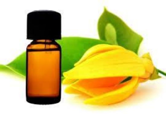 Picture of Ylang Ylang oil